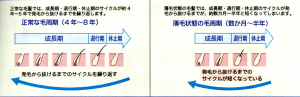 サイクル